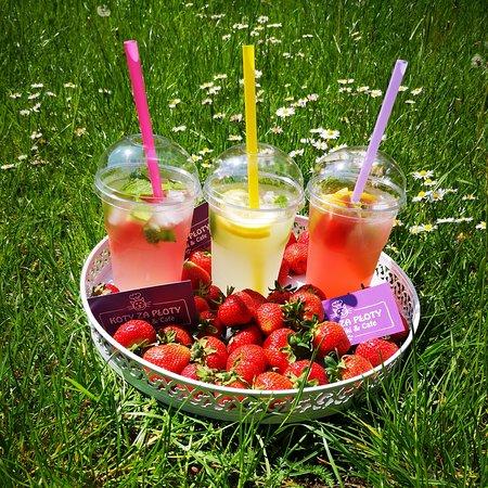 Koty za Płoty Naleśniki & Cafe